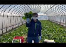 野菜PR動画　北海道苫小牧・厚真町